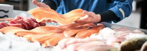 Frost : l'éclairage optimal pour le poisson frais