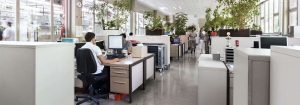 Une rénovation efficace de l'éclairage pour plus d'économies d'énergie
