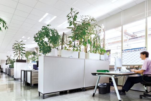 Bureaux paysagers de Bosch, en Allemagne, mis en lumière par une solution d'éclairage de Philips