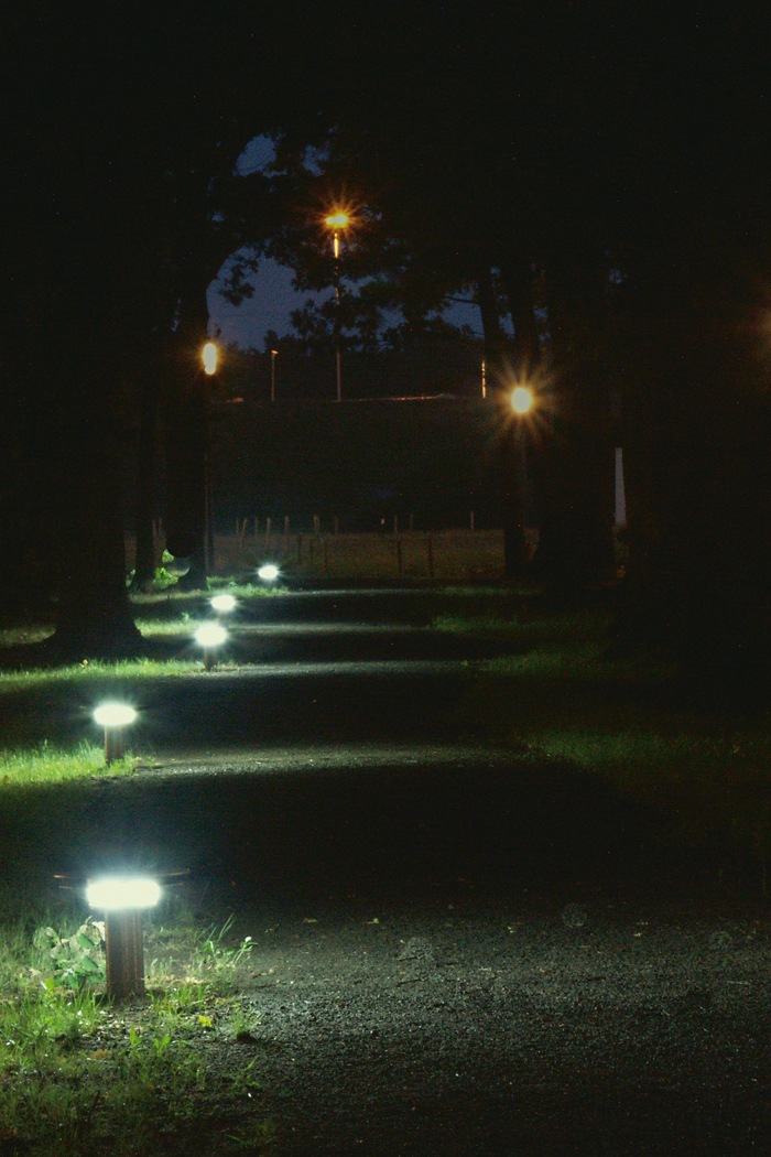 Voie piétonne du High Tech Campus, mise en lumière par une solution d'éclairage extérieur de Philips pour améliorer la sécurité la nuit