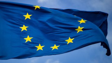 arbre à côté d'un bâtiment en verre